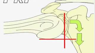 2Abducción glenohumeral aproximación y descenso  Glenohumeral joint [upl. by Araas]