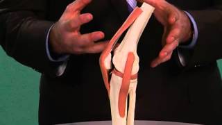 Bursitis  Serious Accidents Can Affect Knee Movement [upl. by Mariano]