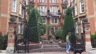 Beautiful Kensington Palace Court Homes  London Architecture [upl. by Idalla]