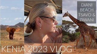 Kenia VLOG 2023 I Tsavo Ziwani Safari und Diani Sea Lodge Hotel I Mamacobeauty [upl. by Hamitaf]