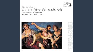 Gesualdo Fifth book of madrigals  7 Felicissimo sono [upl. by Lada]