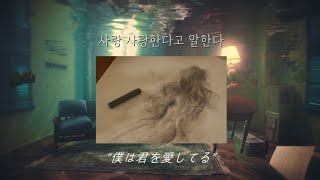 quotVoicelessquotWONPILDay6【和訳】원필 quot안녕 잘 가quot [upl. by Meesaw]