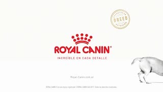 Royal Canin  Increíble en cada detalle [upl. by Leamiba920]