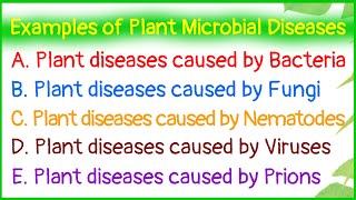 Examples of Plant Microbial DiseasesDiseases caused by BacteriaFungiNematodesVirusesPrions [upl. by Dewitt]