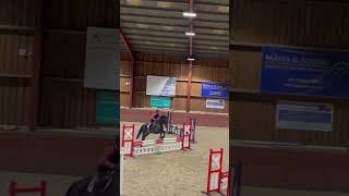 Erol flying at his first SJ comp of 2024 🚀 Have you guys seen the vlog horse equestrian jumping [upl. by Shear]