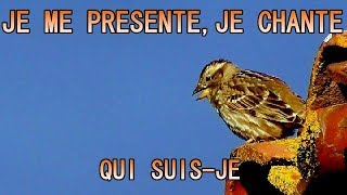 MOINEAU SOULCIE qui chante Singing Rock Sparrow [upl. by Nihs667]