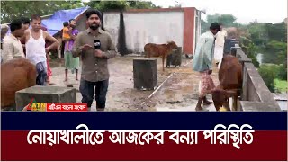 নোয়াখালীতে আজকের বন্যা পরিস্থিতি  Noakhali Flood Situation Today  Flood  Bonna  Noakhali [upl. by Horton]