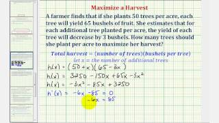 Ex Optimization  Maximized a Crop Yield Calculus Methods [upl. by Ahsetan445]