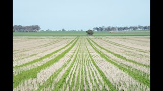 Around the Grounds Wimmera 1 [upl. by Nesahc]