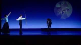 Salzburger Landestheater Trailer „Schwanensee“ [upl. by Sreip]