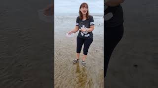 GCSE Geography coastal fieldwork Sediment collection 1 [upl. by Servais]