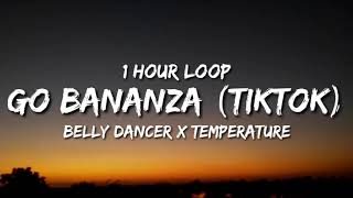 Belly Dancer x Temperature 1 hour loop  TikTok Remix Dont Be Shy Girl Go Bananza [upl. by Gilba]