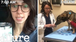 A Veterinarians Entire Routine from Waking Up to Treating Pets  Allure [upl. by Mohl]