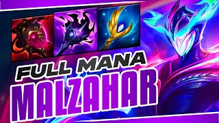 THIS BUILD IS INTERESTING FOR MALZAHAR  Malzahar Guide S14  League Of Legends [upl. by Falo853]