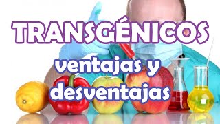 TRANSGÉNICOS ventajas y desventajas del uso de OGMOMG en agricultura [upl. by Nhojleahcim]