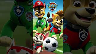 PAW SUPER BOWL pawpatrol chase rocky zouma skye rubble [upl. by Aisyla87]