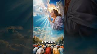 verset biblique Galate 5 16 17 [upl. by Lot]