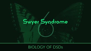 Biology of DSDs 6 Swyer Syndrome [upl. by Otnicaj969]