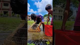 Best Village Fishing With Polo 🧐Ruar Best Polo Fishing Video 2024fishvideo fishing fishingvideo [upl. by Yerfoeg]