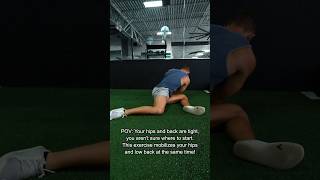 Quick Back Pain Mobility Exercise [upl. by Petty]