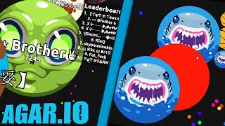 ¡¡EL JUEGO MÁS PARECIDO a AGARIO La MAYOR COPIA de AGARIO  agareoz [upl. by Onirefes]