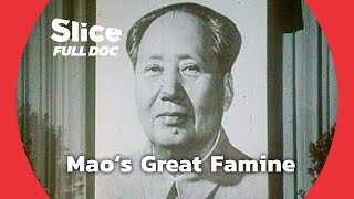 Maos Great Famine  FULL DOCUMENTARY [upl. by Gnivri]