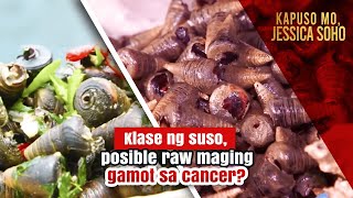 Klase ng suso posible raw maging gamot sa cancer  Kapuso Mo Jessica Soho [upl. by Middleton]