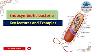 endosymbiotic bacteria  key features and examples of endosymbiotic bacteria  microbiology [upl. by Lucier]