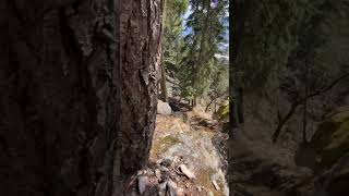 Mountain Biking in Pemberton BC [upl. by Nedrob852]