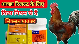 बेहतरीन रिजल्ट के लिए इस नियम से दें lixen powder  deshi मुर्गी palan [upl. by Llewxam120]