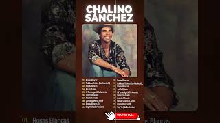 Chalino Sanchez  Mix 20 Grandes Exitos Corridos Pesados Para Pistear chalinosanchez shorts [upl. by Itsyrc657]