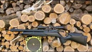 Gamo arrow PCP CHEAP Package  Spain Cheap Pcp airguns [upl. by Bradlee761]