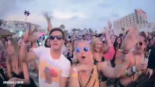 DJ Fresh  Summer 2014 Tour Highlights [upl. by Rosana155]