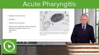 Acute Pharyngitis Definition amp Epidemiology – Infectious Diseases  Lecturio [upl. by Leela]