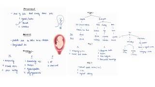 BREECH PRESENTATION NOTES  OBSTETRICS  OBGY  ONE PAGE NOTES  4TH PROFF  MBBS [upl. by Attelrahc]