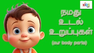 நமது உடல் உறுப்புகள்  Our Body Parts  Tamil  Kids Spot [upl. by Aihtekal]