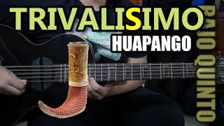 Huapango Trivalisimo  Bajo Quinto  Tutorial [upl. by Elacim]