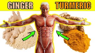 13 Amazing Health Benefits of Turmeric and Ginger Together [upl. by Yxor]