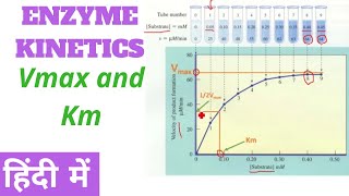 Enzyme Kinetics  Vmax and Km in Hindi [upl. by Hannaoj]