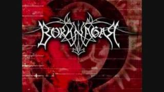 Borknagar  The Presence Is Ominous [upl. by Rosemonde]