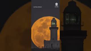 Supermoon rises behind historic Australian lighthouse [upl. by Doralin610]