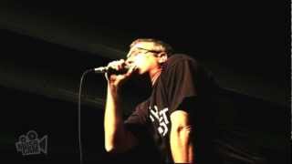 Descendents  Im The One Live in Sydney  Moshcam [upl. by Nnylanna]