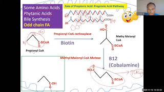 lipid 59 Propionic acid pathway High yield for USMLE step 1 [upl. by Denice]