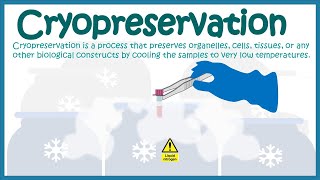 Cryopreservation  application and mechanism [upl. by Latif102]