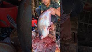 World Famous Biggest Size Pangas Fish Cutting Skills In expert Cutter 😱 shorts [upl. by Ettezzus]