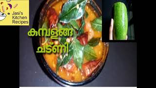 കുമ്പളങ്ങ ചട്ണിHow to make Ash Gourd chutney recipe in malayalam DoshaRiceIdli [upl. by Britni]