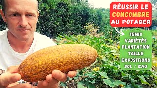 COMMENT CULTIVER LE CONCOMBRE AU POTAGER [upl. by Eisinger]