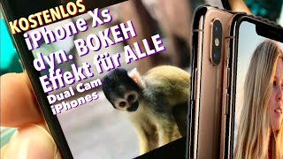 iPhone Xs einstellbarer BOKEH Unschärfen Effekt für ältere Dual Cam iPhones freischalten [upl. by Enialahs]