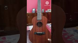 UNBOXINGJUAREZ UkuleleBeginner foryoupage ukulele viralvideo [upl. by Gertie]