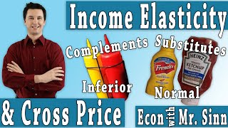 Cross Price Elasticity amp Income Elasticity [upl. by Drawets]